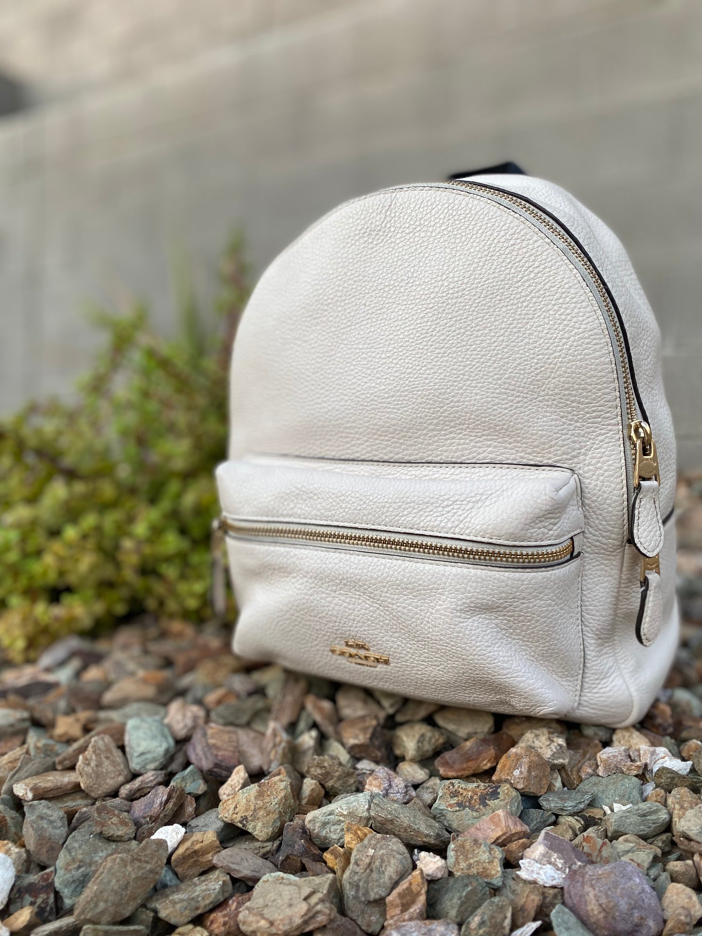 Coach Medium Charlie Backpack