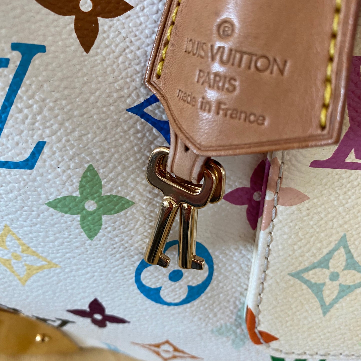 Louis Vuitton Speedy 30 Multicolor