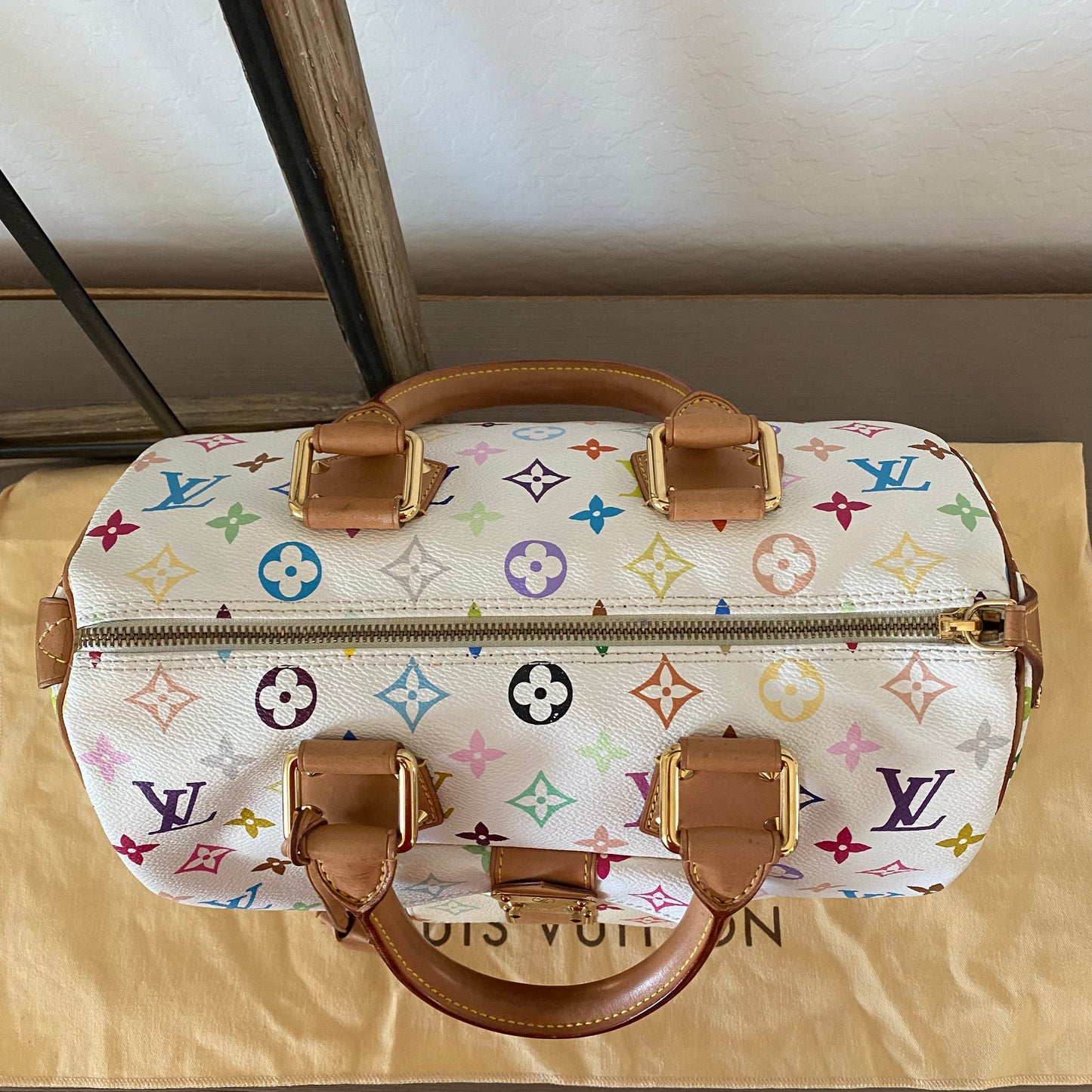 Louis Vuitton Speedy 30 Multicolor
