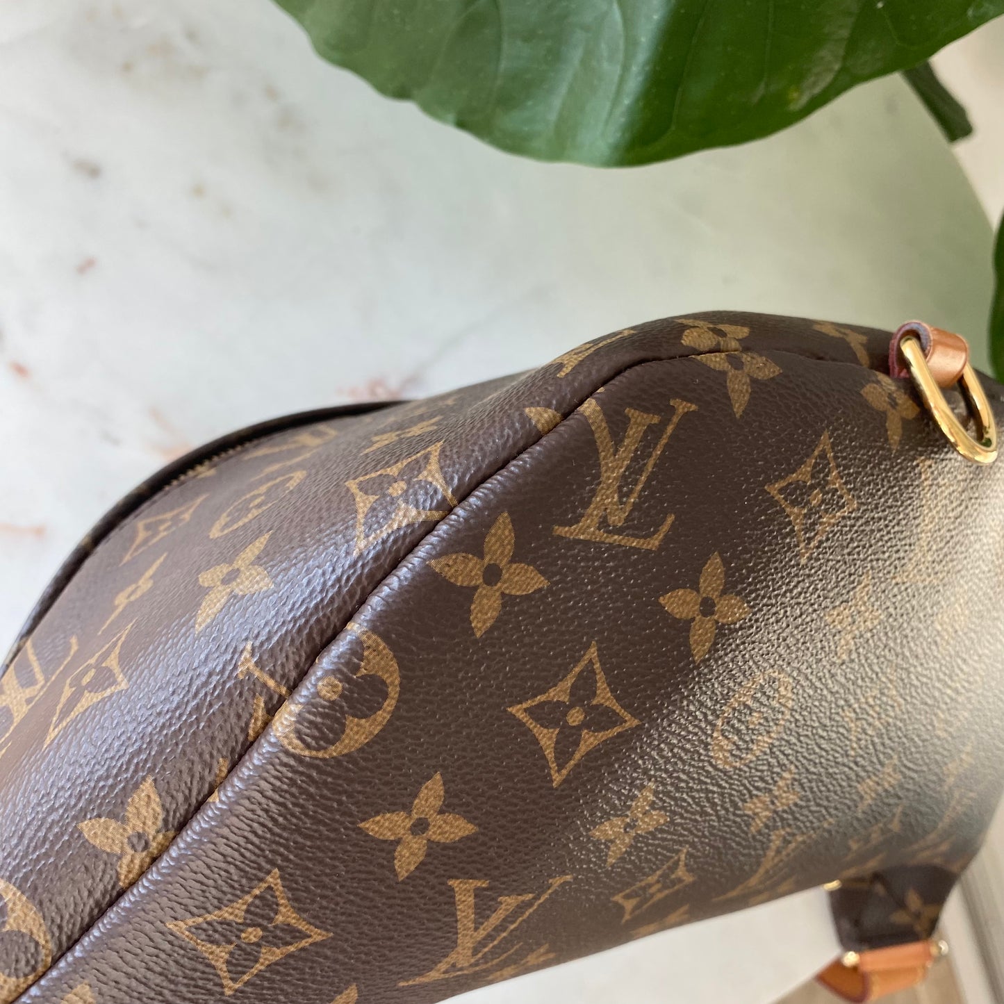 Louis Vuitton Monogram Bumbag Crossbody Waist Bag