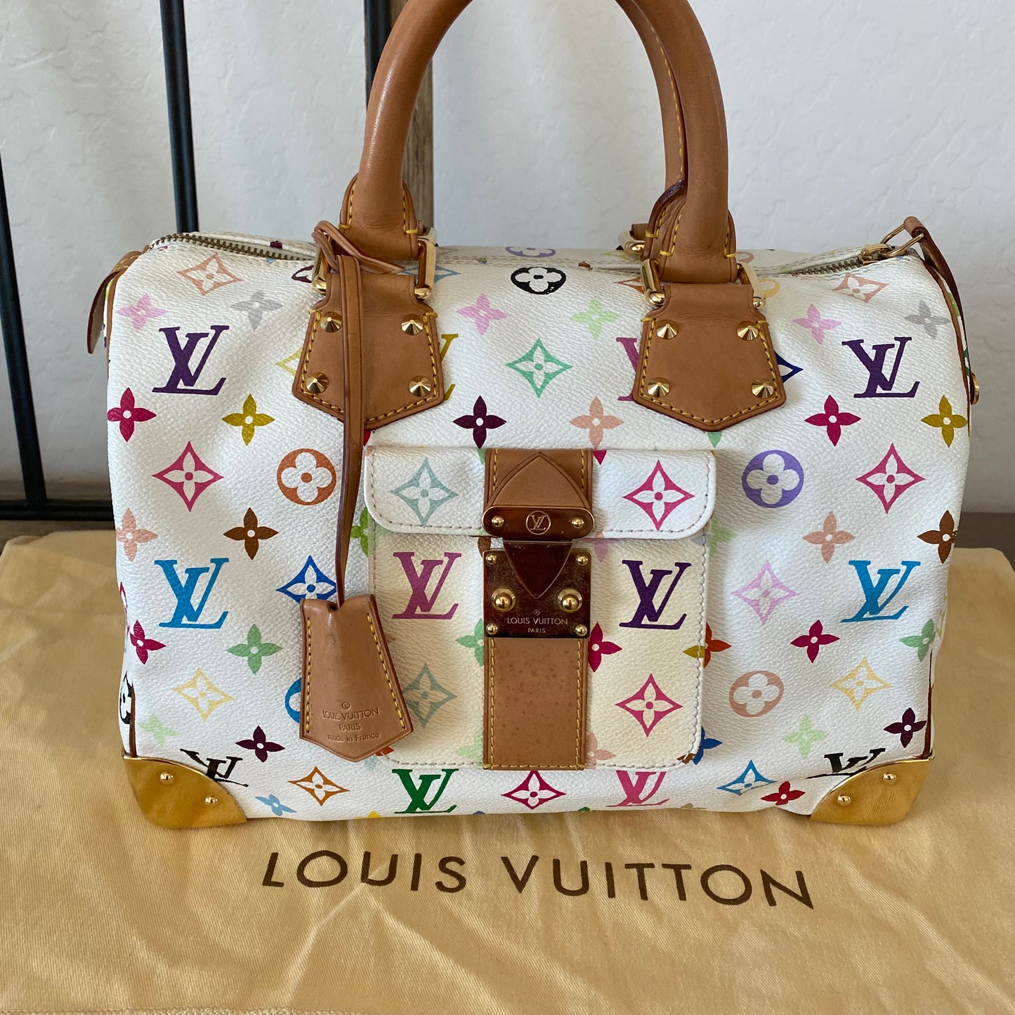 Louis Vuitton Speedy 30 Multicolor