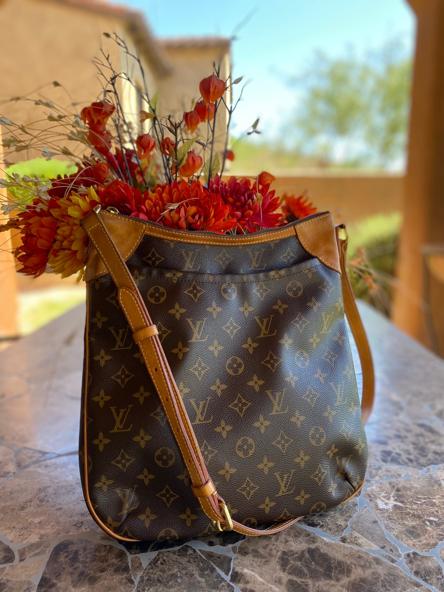 Louis Vuitton Monogram Odeon MM Crossbody