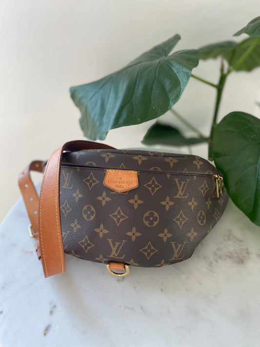 Louis Vuitton Monogram Bumbag Crossbody Waist Bag