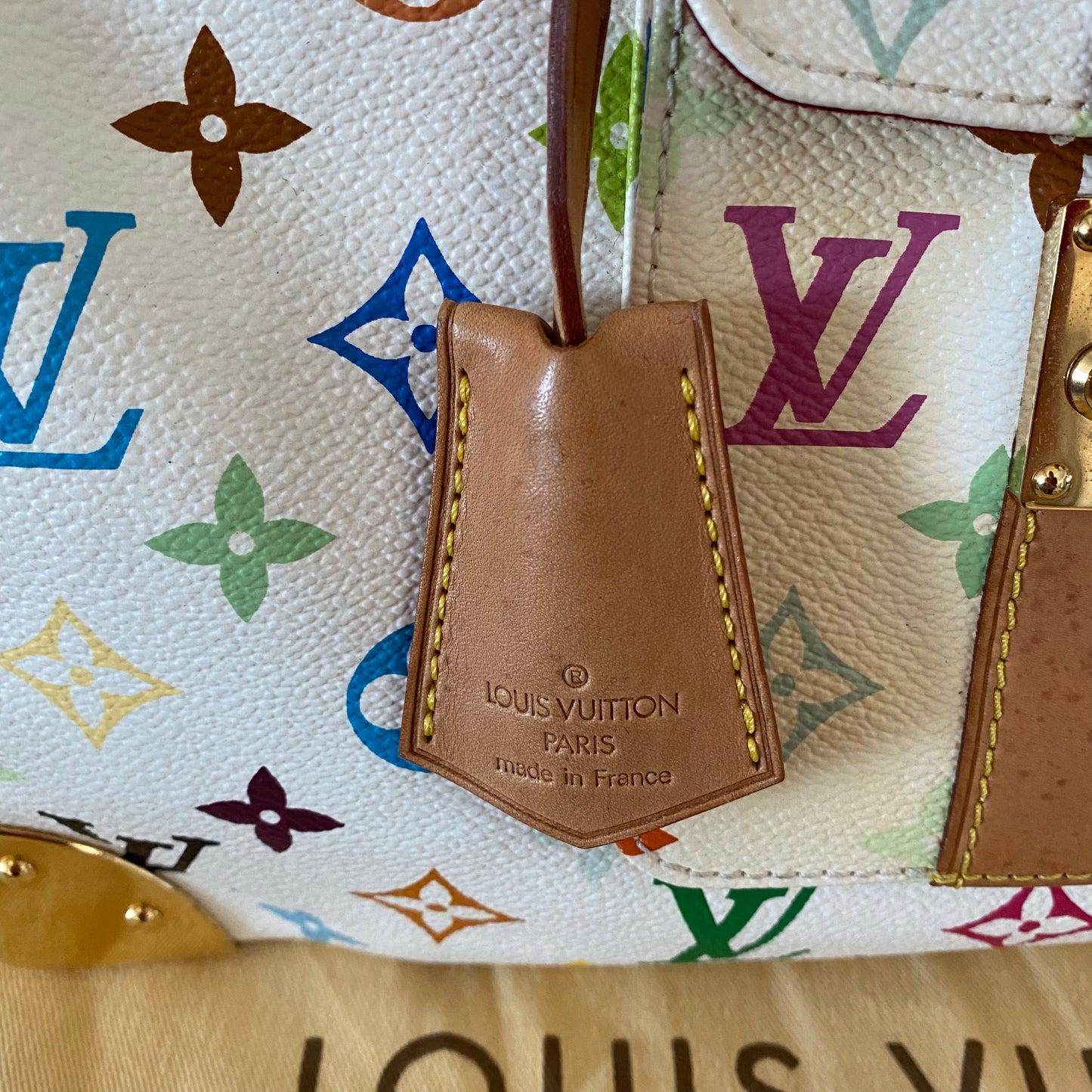 Louis Vuitton Speedy 30 Multicolor