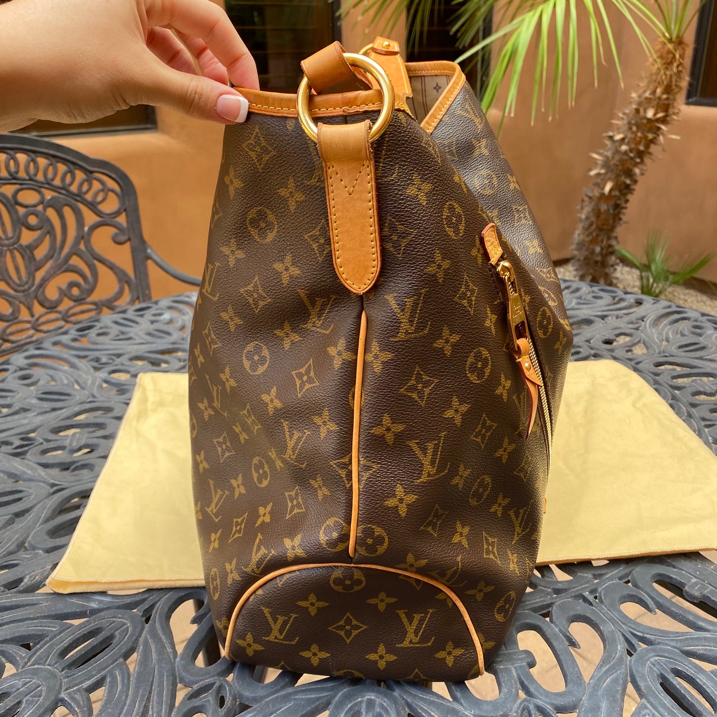 Louis Vuitton Monogram Delightful GM Hobo