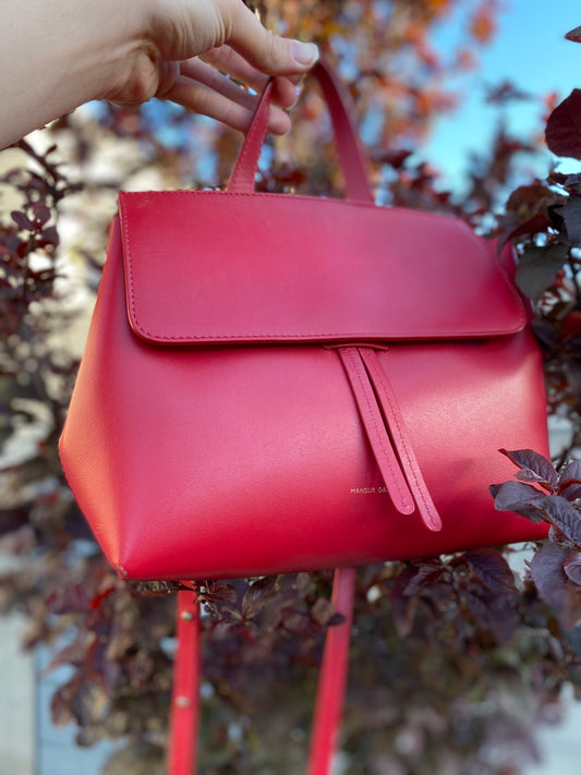 Mansur Gavriel Small Lady Crossbody