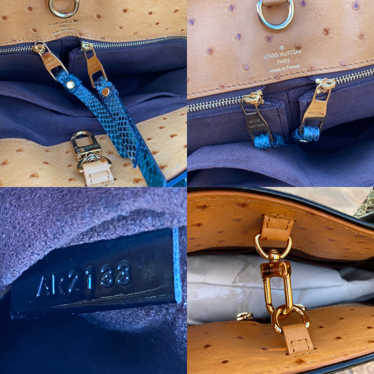 Louis Vuitton Limited Edition Etoile Exotique Bag