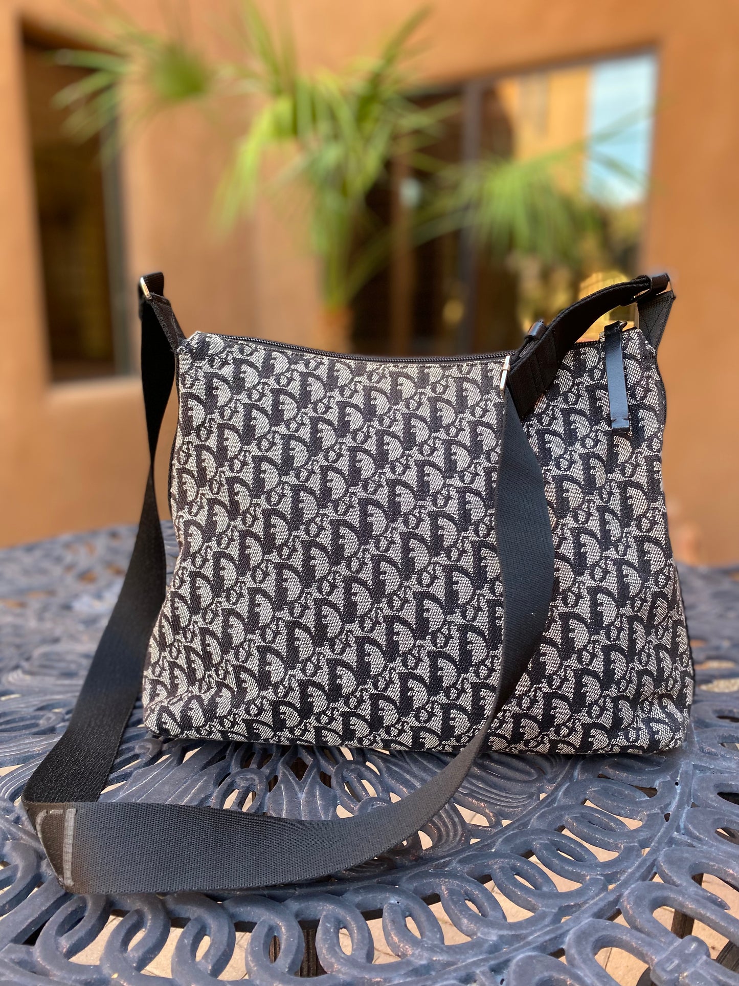 Christian Dior Monogram Canvas Trotter