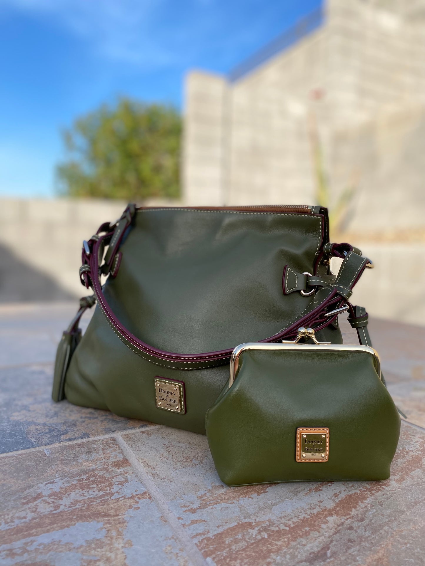 Dooney & Bourke Tegan Leather Hobo Bag with Wallet