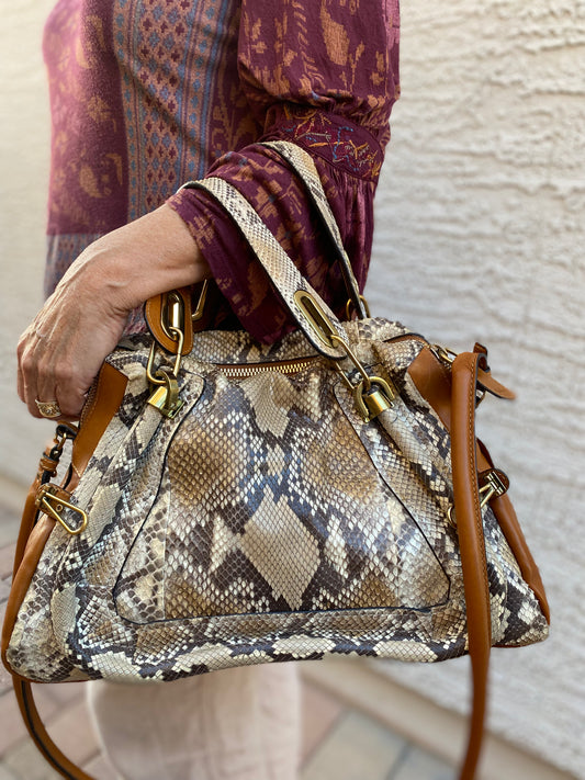 Chloé Paraty Python Dove Shoulder Bag