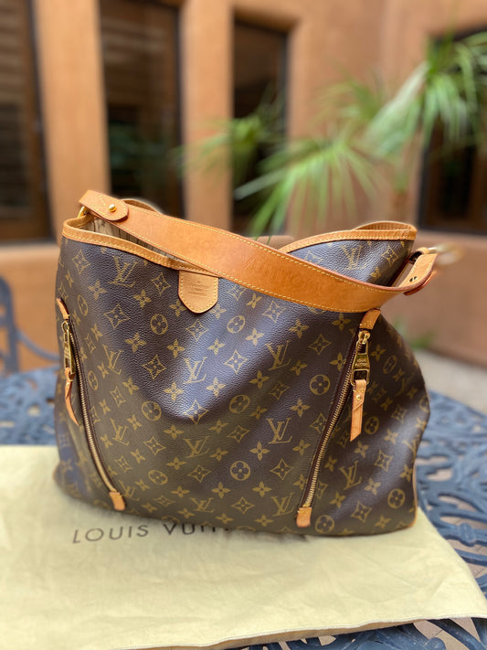 Louis Vuitton Monogram Delightful GM Hobo
