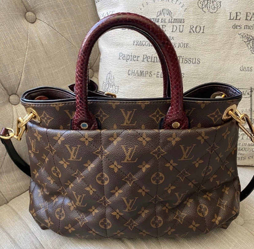 Louis Vuitton Etoile Exotique Limited Edition Bag
