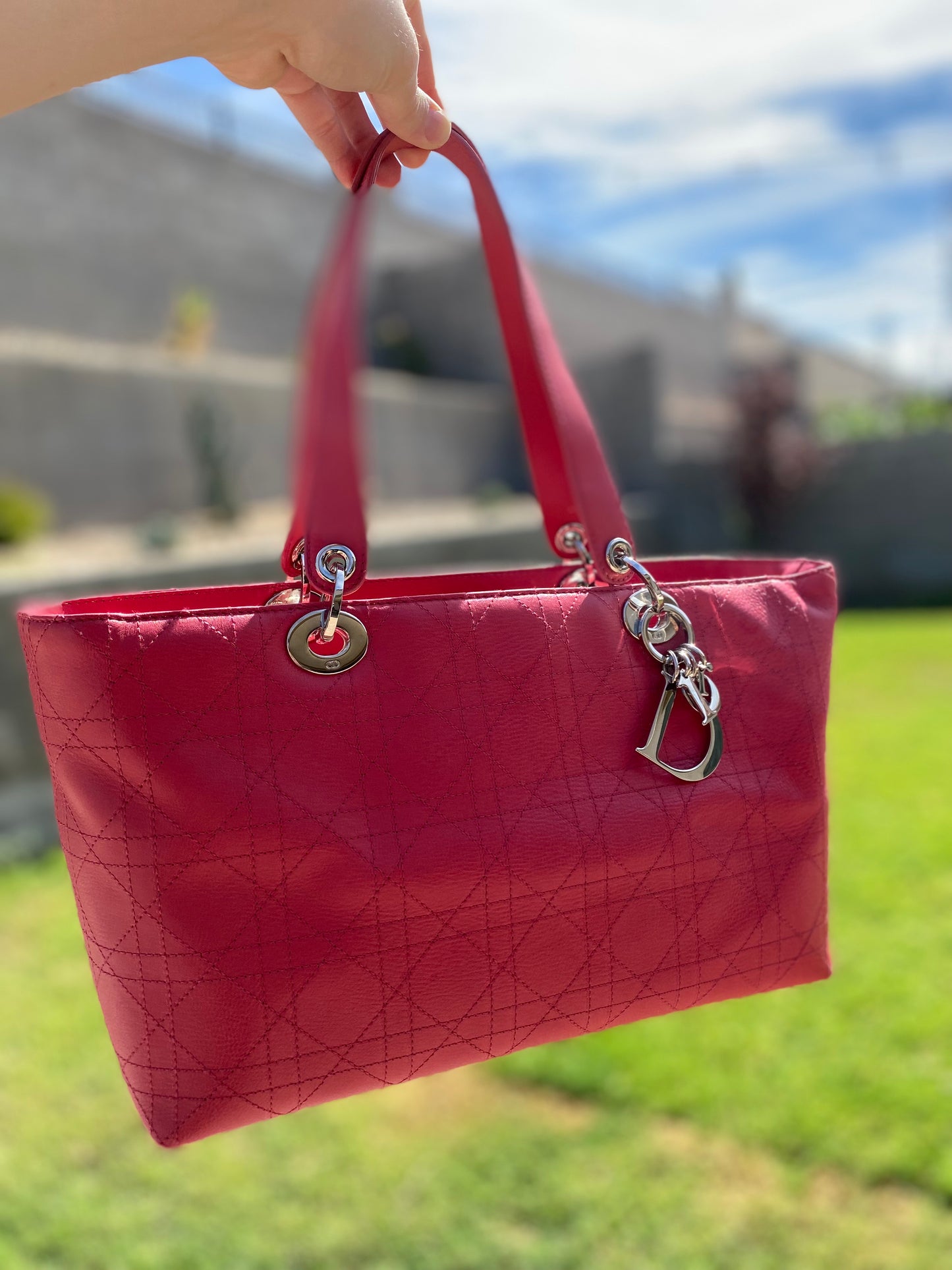 Christian Dior East West Lady Dior Leather Tote