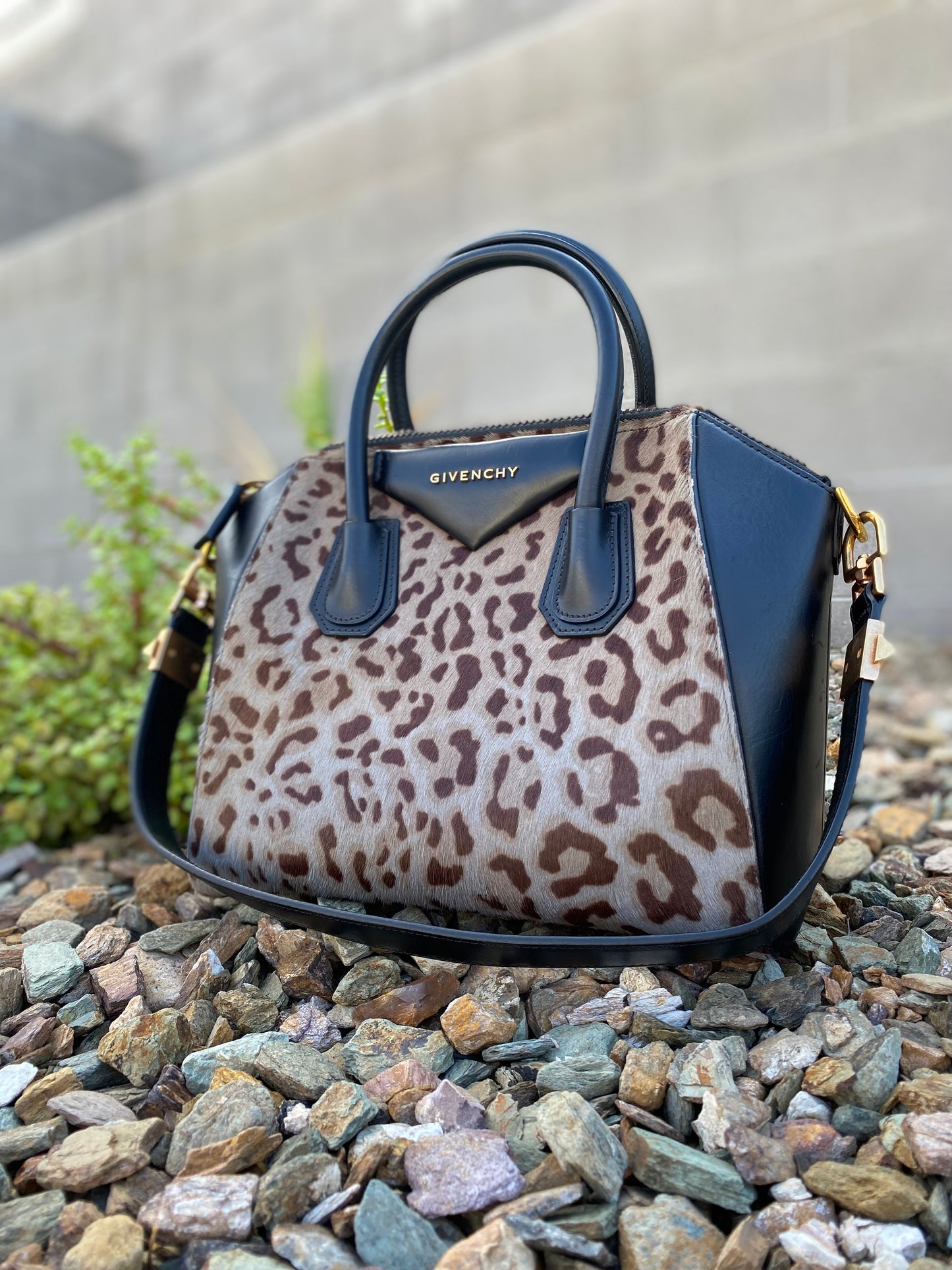 Givenchy Calfskin Calf Hair Small Leopard Antigona