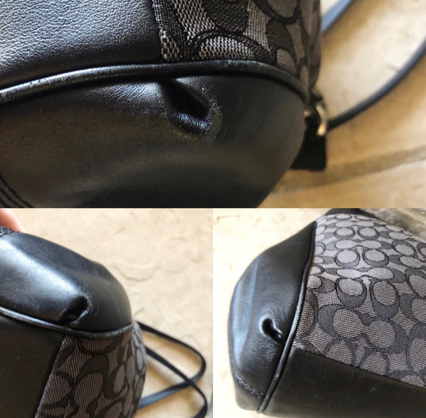 Coach Lexy Large Classic Monogram Bag