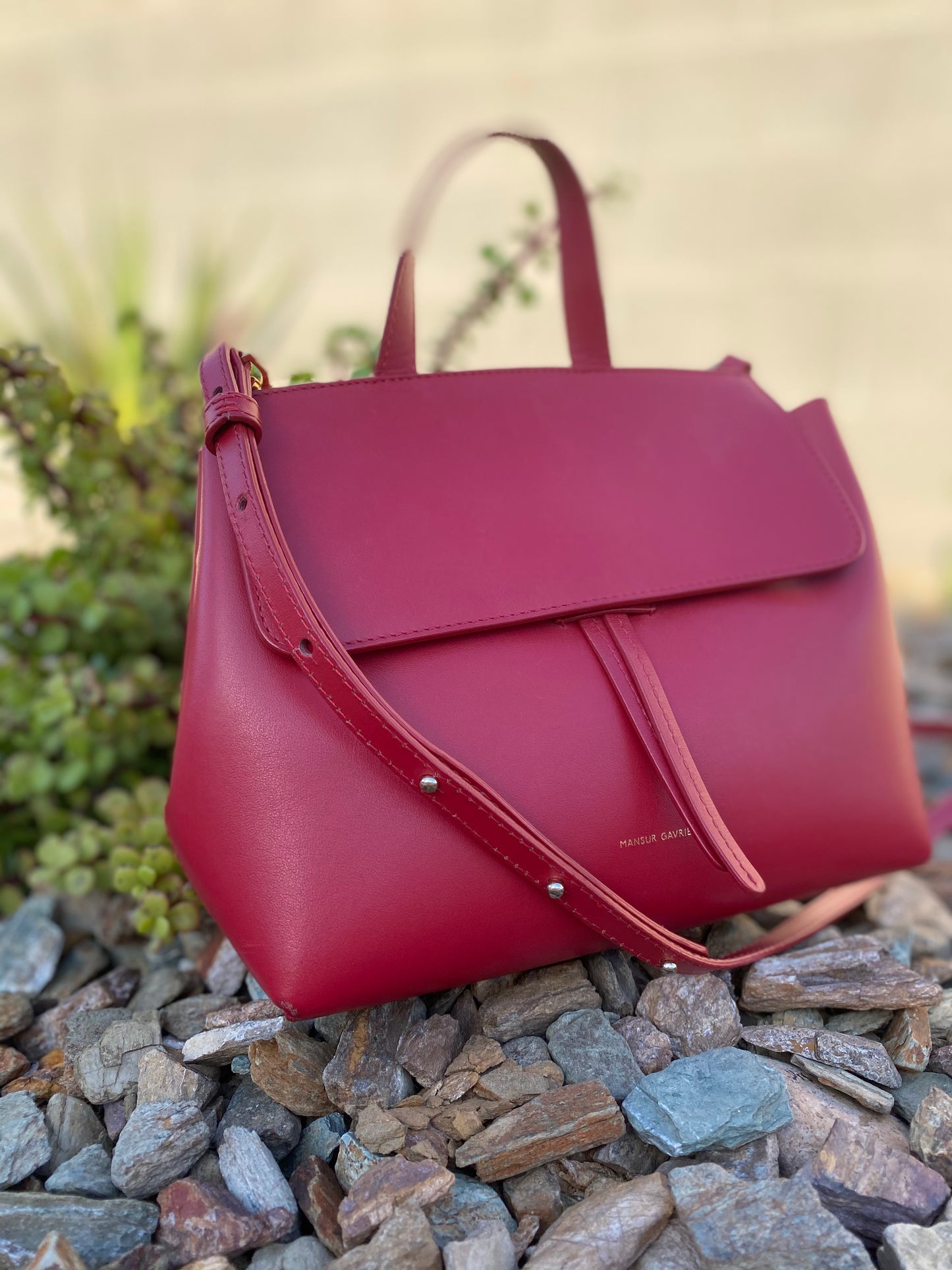 Mansur Gavriel Small Lady Crossbody