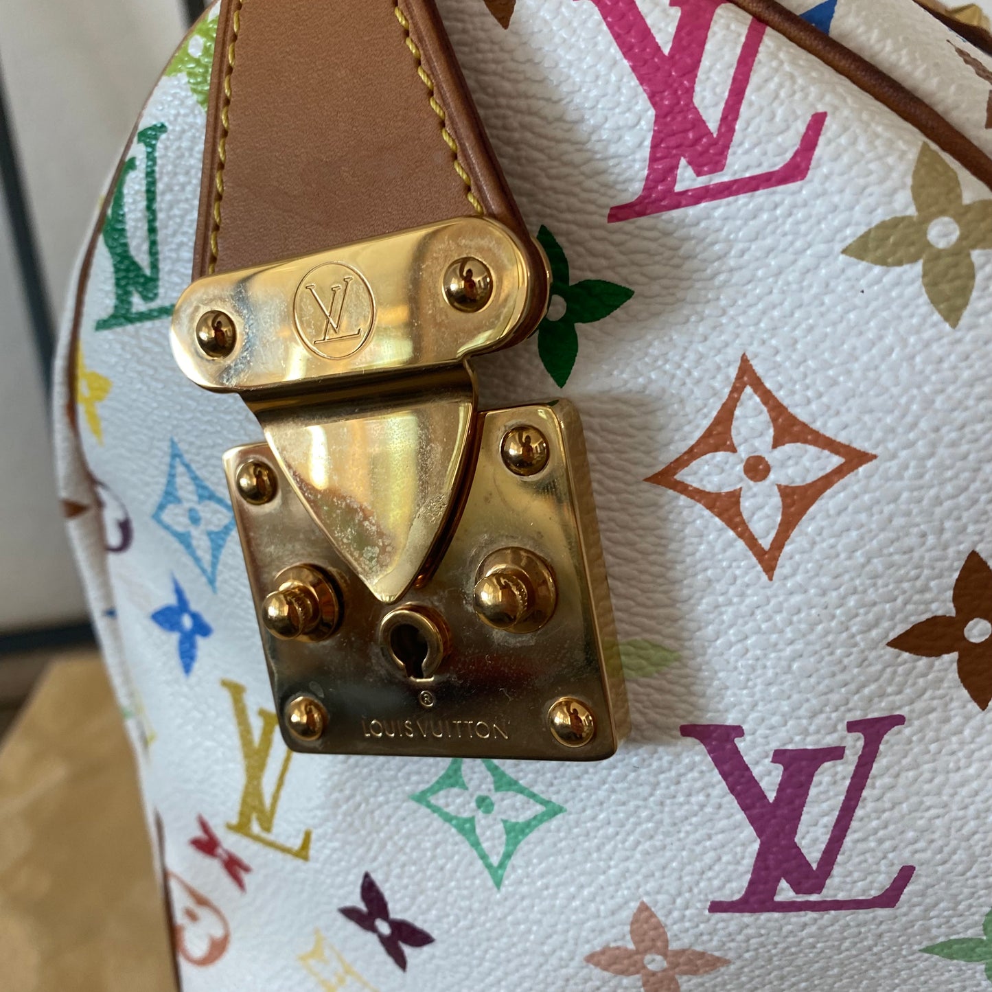 Louis Vuitton Speedy 30 Multicolor