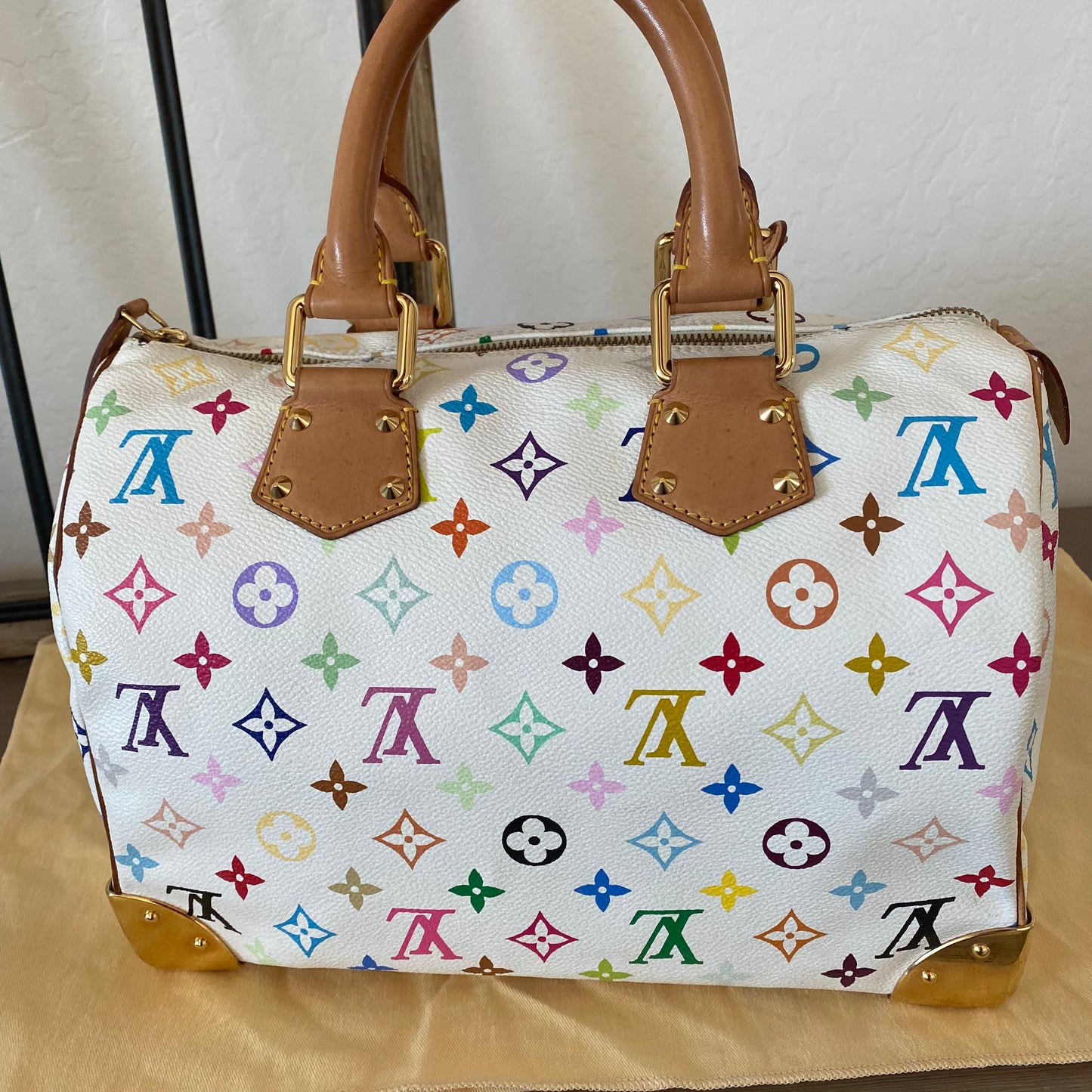 Louis Vuitton Speedy 30 Multicolor