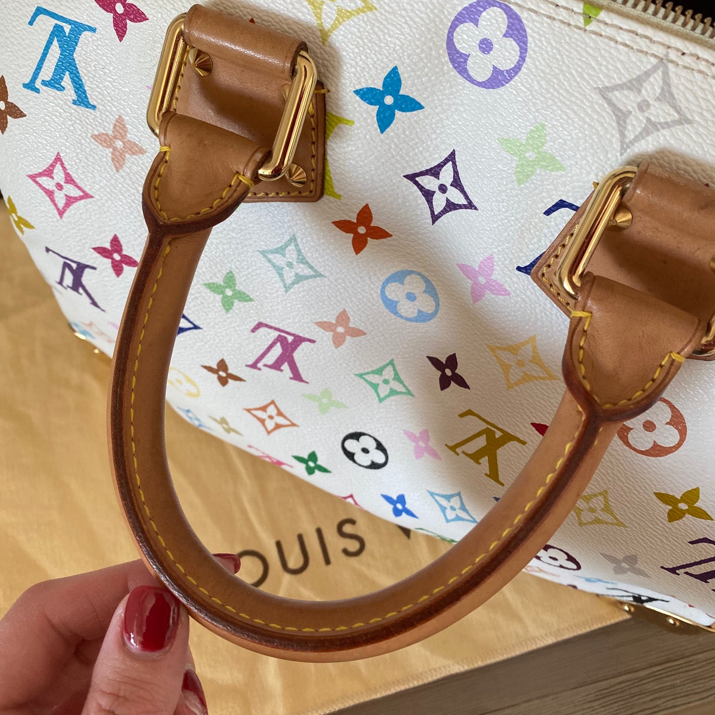 Louis Vuitton Speedy 30 Multicolor
