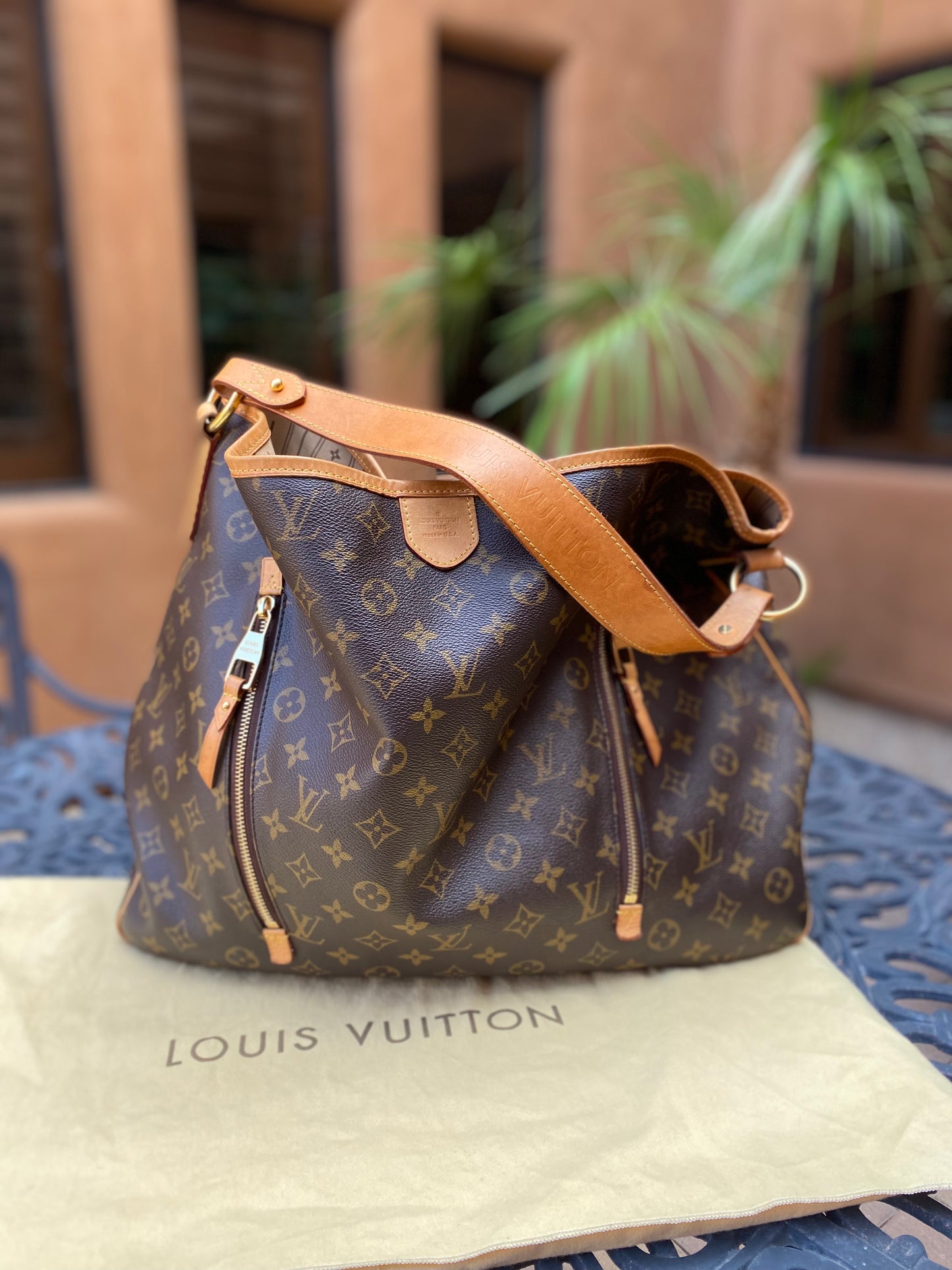 Louis Vuitton Monogram Delightful GM Hobo
