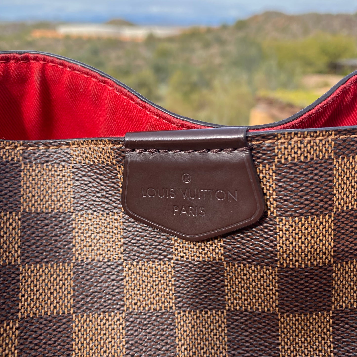 Louis Vuitton Damier Ebene Graceful PM Hobo