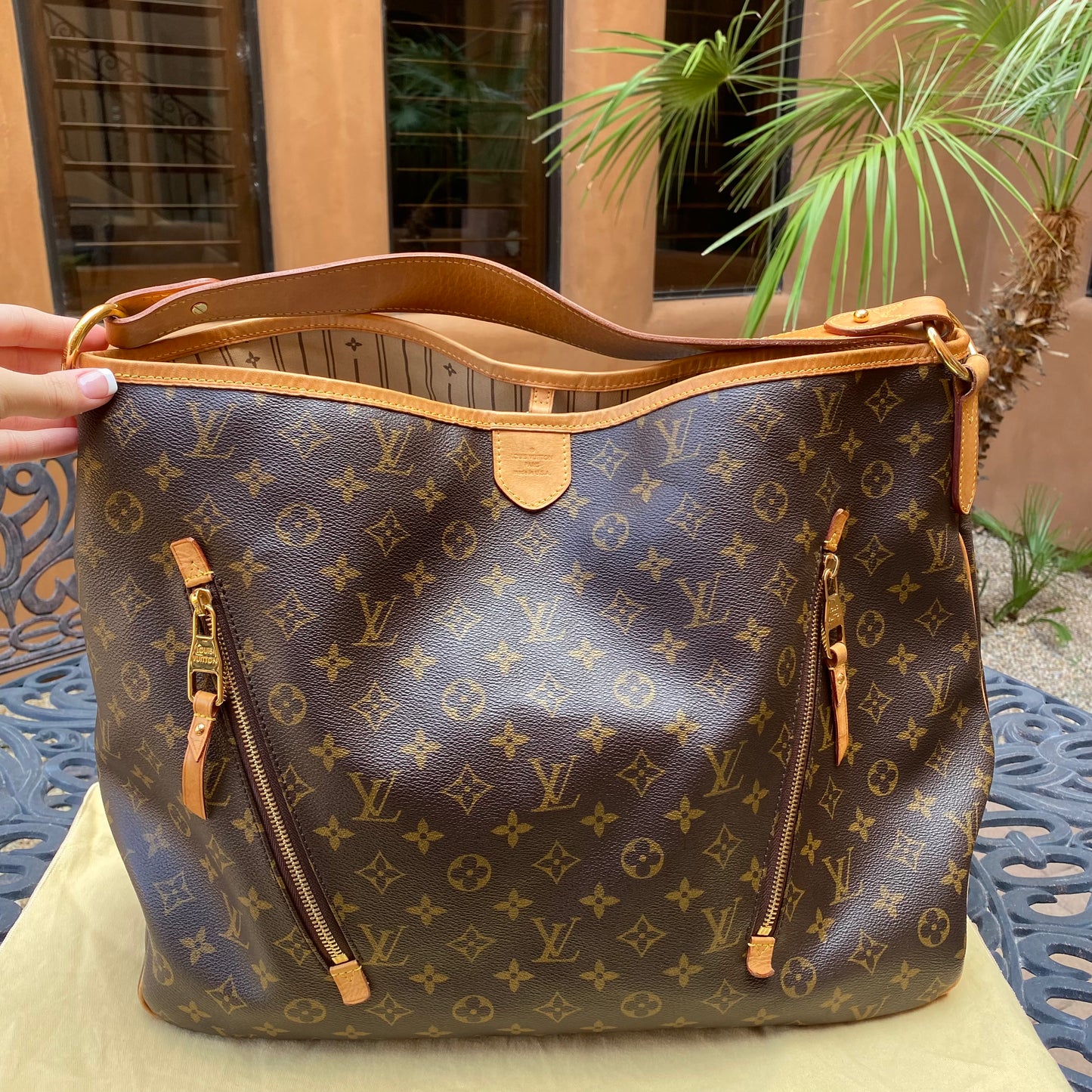 Louis Vuitton Monogram Delightful GM Hobo