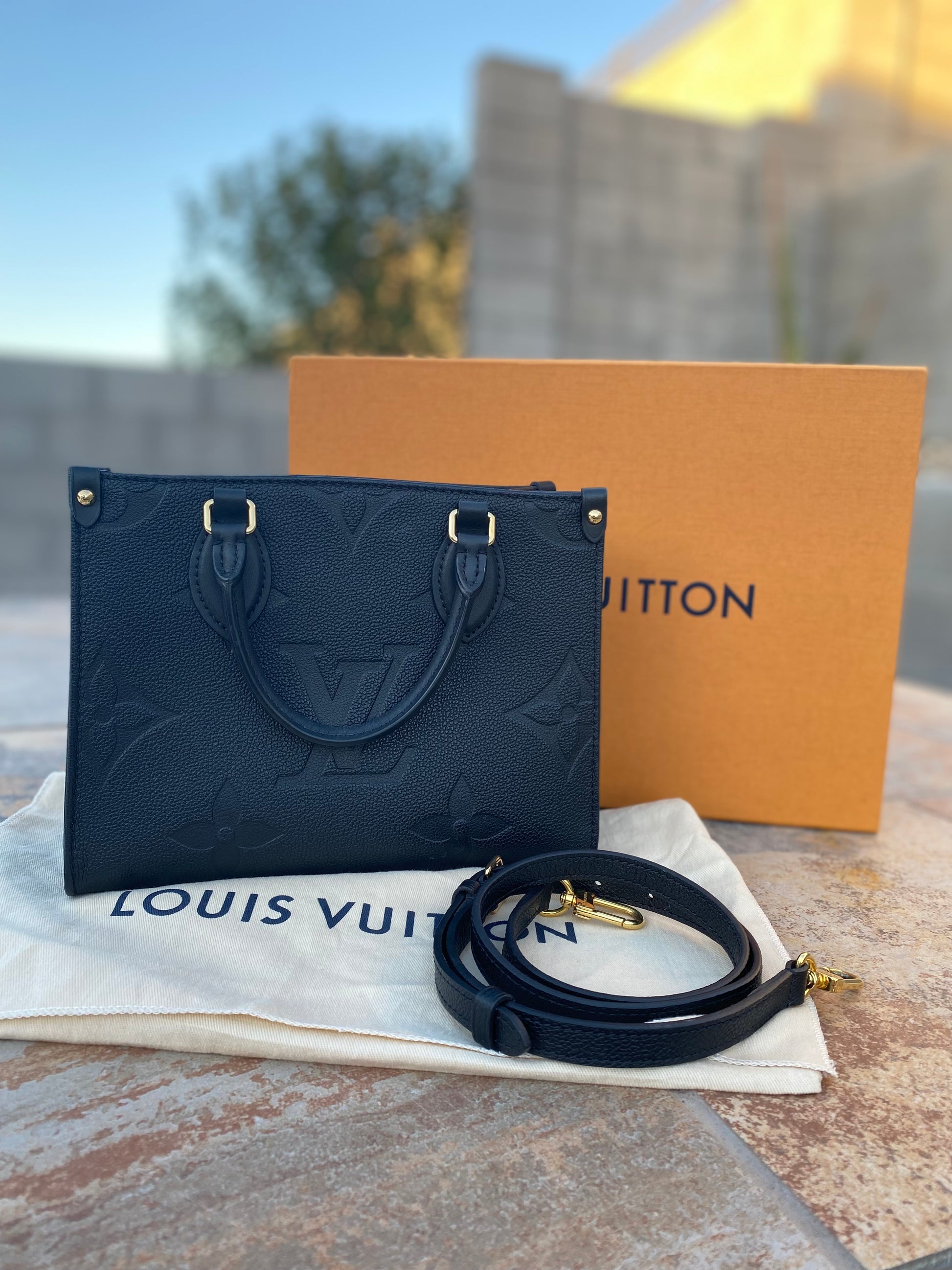 Louis Vuitton MONOGRAM EMPREINTE Louis Vuitton ONTHEGO PM TOTE BAG