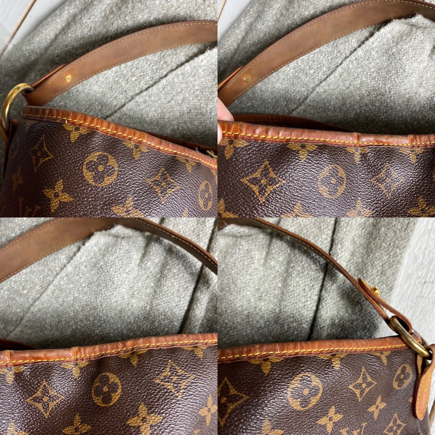 Louis Vuitton Monogram Delightful PM Hobo
