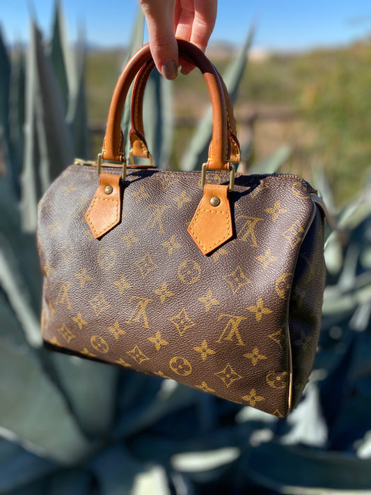 Louis Vuitton Monogram Speedy 25 Satchel