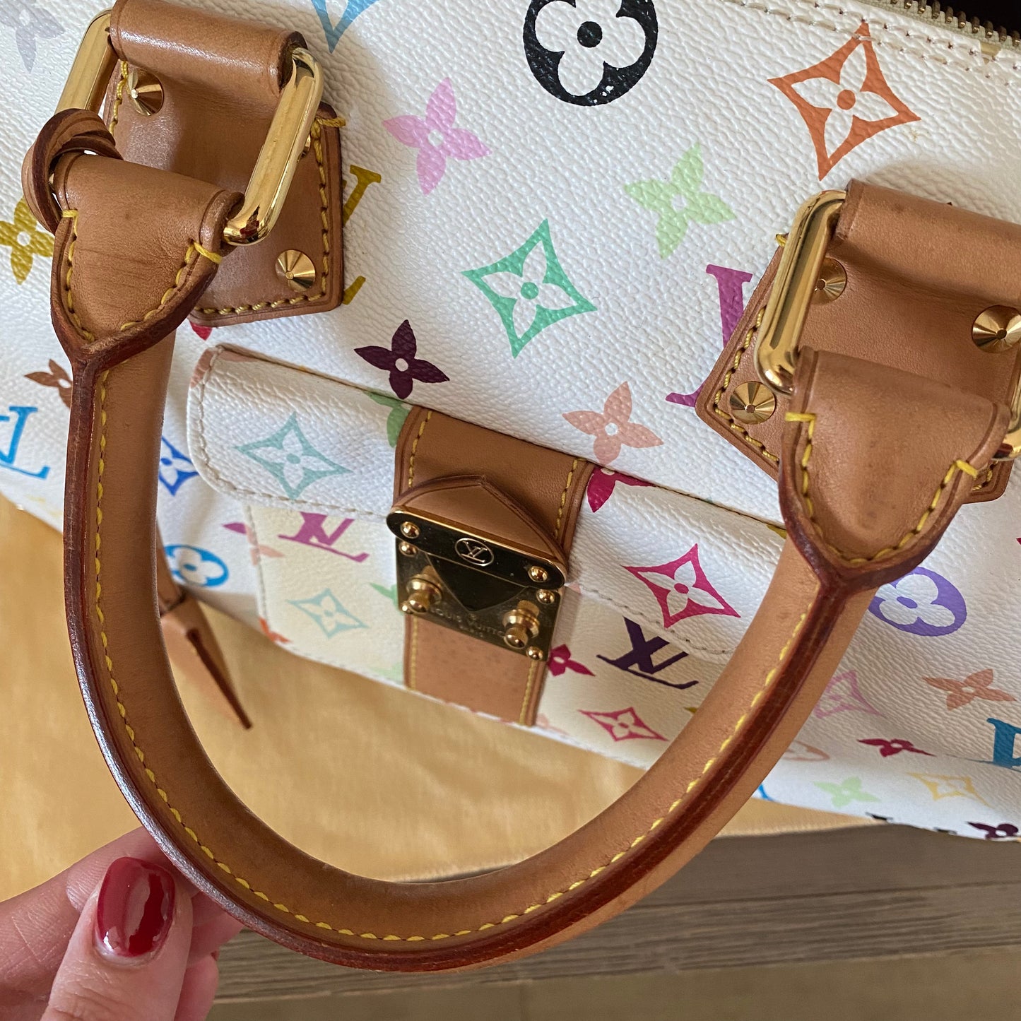 Louis Vuitton Speedy 30 Multicolor